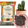 Blumenerde für Kakteen und Sukkulenten 5l - Optimale Produktbild-Vorschau 1