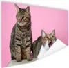MuchoWow® Poster Katze - Rosa - Pouf - Mädchen - Kinder - Produktbild-Vorschau 1