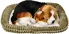 Perfect Petzzz Plüschhund Beagle 96255 Produktbild-Vorschau 5