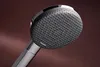 hansgrohe Raindance Alive Select S Handbrause 125 3 Produktbild-Vorschau 15