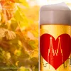 IMPERIAL Kölschgläser mit Kölner Dom Skyline Motiv 200ml Produktbild-Vorschau 6