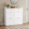 Armoire à chaussures AODEMOKO avec 4 portes, étagère à Voir les images du produit 2