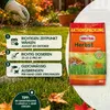 SUBSTRAL® Herbst Rasendünger 25 kg Produktbild-Vorschau 4