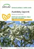 SAFLAX - Austrálsky čajovník - Melaleuca alternifolia - 400 Náhľad obrázku produktu 1
