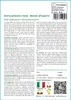 SAFLAX  - Acero palmato rosso - 20 semi - Con substrato - Anteprima dell’immagine prodotto 3