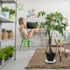 Yakimz Pflanzenroller 38-52cm Einstellbar Pflanzen Produktbild-Vorschau 7