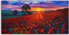 Coloray Acrylbild 100x50  Wandbild Acrylbilder Foto Wiesen Produktbild-Vorschau 1