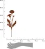 Esschert Design | Fiche de jardin Pissenlit - 37 cm - Voir les images du produit 3