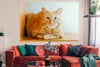MuchoWow® Poster Katze - Holz - Schrank 180x120 cm - Produktbild-Vorschau 2