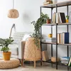 Relaxdays - Plantes artificielles suspendues, lot de 2 Voir les images du produit 3