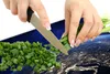Glasschutzplatte für den Herd 80x52 Erde Produktbild-Vorschau 8