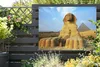 MuchoWow® Produktbild-Vorschau 5