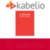 Codice di accesso Kabelio Renewal 12 mesi Anteprima dell’immagine prodotto 1