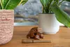 Frosch Klangfrosch Gr. 4 – 11 cm Klangtier aus Holz | Produktbild-Vorschau 5