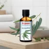Olio per sauna HolzHacker Eucalipto 60 ml Anteprima dell’immagine prodotto 3