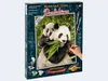 Noris Spiele Malen nach Zahlen - Pandabären; 609240712 Produktbild-Vorschau 8