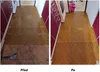 Paint & Varnish Remover - odstraňovač barev, laků, tmelů a Náhled obrázku produktu 11