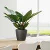 LECHUZA-Vase à plantes CLASSICO Premium LS 21 Anthracite Voir les images du produit 5