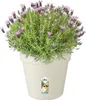Elho Anzuchttopf  Green Basics weiß Ø 35cm Produktbild-Vorschau 3