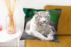MuchoWow® Zierkissen Sofakissen Wohnzimmer Dekokissen 50x50 Produktbild-Vorschau 6