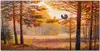 Coloray Küchenrückwand 140x70 Spritzschutz aus Glas - Wald Produktbild-Vorschau 1