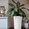 KADAX Pots de fleurs "Latina", cache-pot avec doublure Voir les images du produit 2
