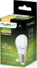 LUMILED LED žárovky E27 P45 5W nahrazují 40W žárovku 6 kusů Náhled obrázku produktu 4