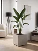 Pot de fleurs sur roulettes, couleur beige, aspect bois, Voir les images du produit 2