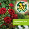 Protect Garden Curamat AZ Rosen-Pilzfrei 2 x 4 ml Produktbild-Vorschau 8