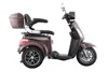 Elektro Seniorenmobil E-Trike Pro 1000Watt, 25 km/h braun Produktbild-Vorschau 2