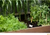 Fiskars Blumenkelle Premium Produktbild-Vorschau 16