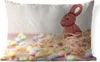 MuchoWow® Outdoor Kissen - Ein Schokoladenhase mit kleinen Produktbild-Vorschau 1