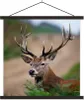 MuchoWow® Textilposter Hirsche - Farne - Natur 90x90 cm mit Produktbild-Vorschau 1