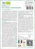 SAFLAX Garden to go - BIO - Cetriolo - Vorgebirgstraube - Anteprima dell’immagine prodotto 3