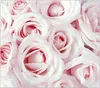 Spritzschutz Herdabdeckplatte Schneidebrett aus Glas Rosen Produktbild-Vorschau 1