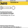Reyher  Sechskantschrauben DIN 34810 Kunstst. M 10x60 PA Produktbild-Vorschau 1
