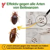 Bettwanzen Falle mit Spezial-Lockstoff – 6x Fallen – Produktbild-Vorschau 2