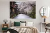 MuchoWow® Poster Kirschblüten über dem Shirakawa-Fluss bei Produktbild-Vorschau 4