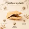 Froschmaulschote natur 7-10 cm Jacaranda brasiliana Produktbild-Vorschau 7