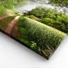 Bild auf Leinwand - Leinwandbild - Pfad Natur Wald Grün - Produktbild-Vorschau 5