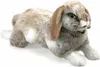 Folkmanis Hase Handpuppe 41 cm Produktbild-Vorschau 2