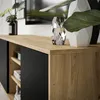 A close-up shot of a modern TV cabinet with a wood-grain finish and black sliding doors, decorated with vases and plants. Náhled obrázku produktu