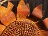Edelrost Gartenstecker Sonnenblume Produktbild-Vorschau 3