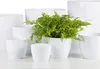Scheurich Mediterranea 920, Topfpflanzer, Freistehend, Produktbild-Vorschau 2