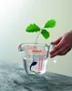 Pyrex Messbecher 3er Set Glas 0,25l 0,5l 1l Produktbild-Vorschau 9