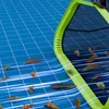 Pool Kescher, Professionelles Poolkescher, Produktbild-Vorschau 6