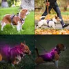 LED Hundegeschirr aufladbar reflektierend, verstellbar mit Produktbild-Vorschau 6