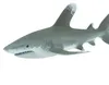 Safari Ltd Oceanic Whitetip Shark Figur Grau From 3 Years Produktbild-Vorschau 5