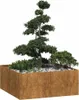 vidaXL Pflanzkübel Rostig 100x100x40 cm Wetterfester Stahl Produktbild-Vorschau 2