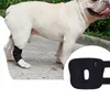 INF Supporto per zampa di cane - Supporto corto per cani L Anteprima dell’immagine prodotto 5